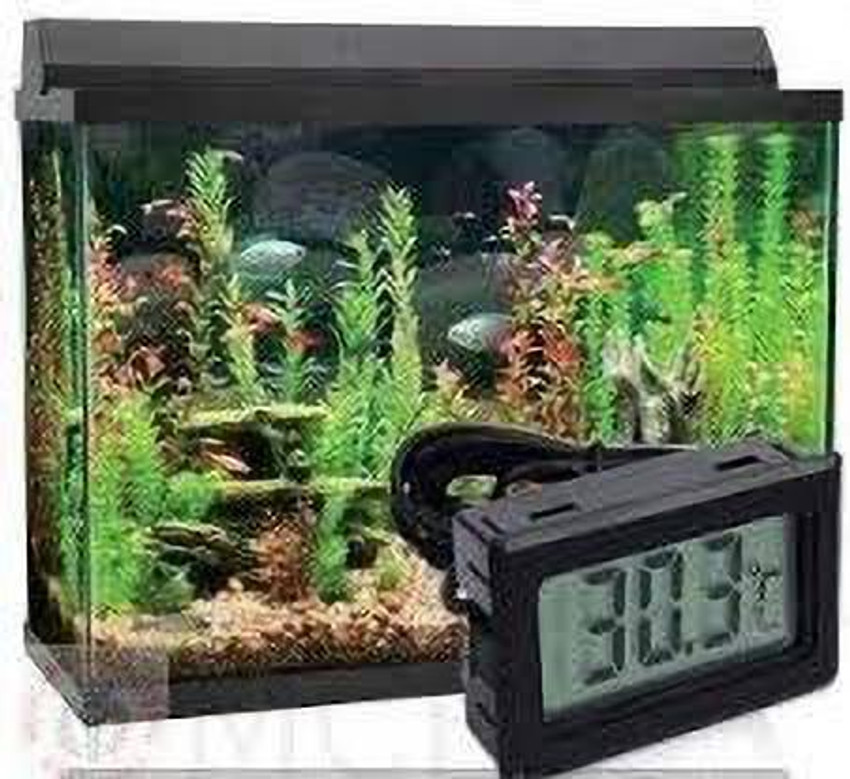 piper healthcare PM 10 Mini Fridge Thermometer For Fridge Freezer Refrigerator Aquarium Fish Tank Thermometer Aquarium Thermometer Price in India Buy piper healthcare PM 10 Mini Fridge Thermometer For...