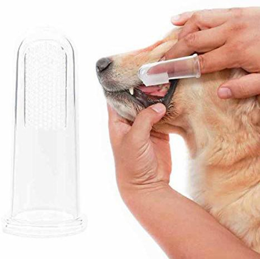 Delidge Dog Cat Soft Finger Toothbrush Pet Oral Dental Brush Helps Reduce Plaque Tartar Pet Toothbrush Price in India Buy Delidge Dog Cat Soft Finger Toothbrush Pet Oral Dental Brush Helps