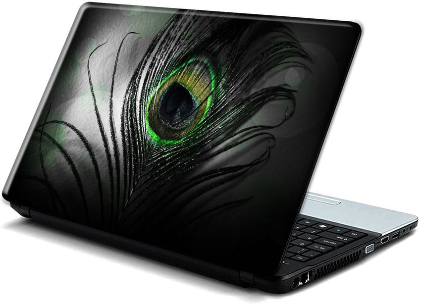 CAVE ART Peacock Feather Beautiful Black Background HD