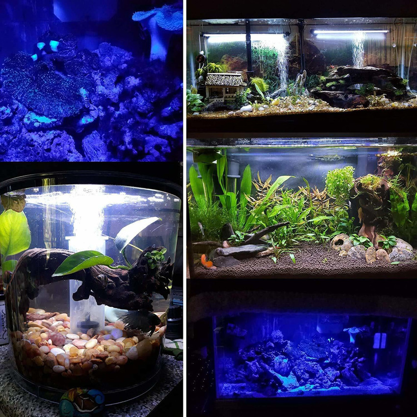 Fluorescent shop aquarium light