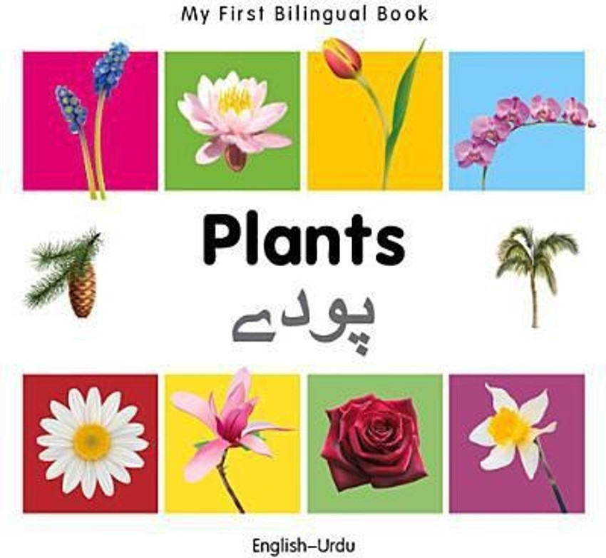 Flowers Name In Urdu Best Flower Site