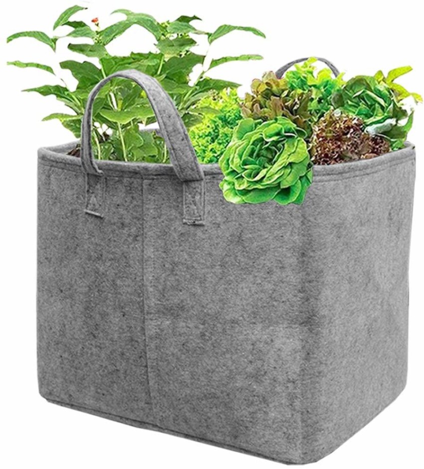 Comparing Fabric Grow Bags vs Plastic Pots  Bootstrap Farmer