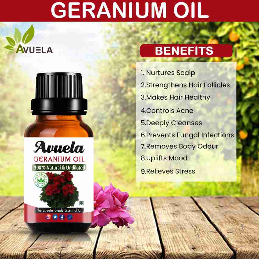 Geranium Oil Uses and Benefits