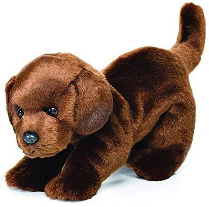 Chocolate labrador cuddly toy store
