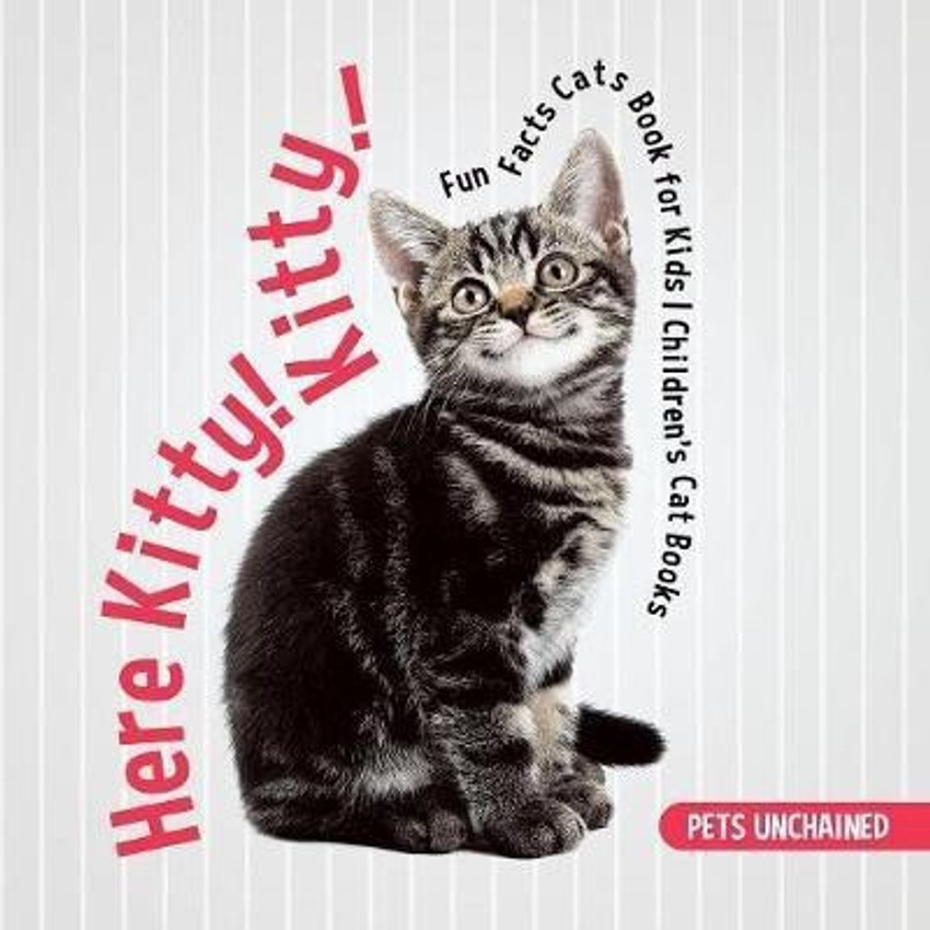 Information about cat in english best sale
