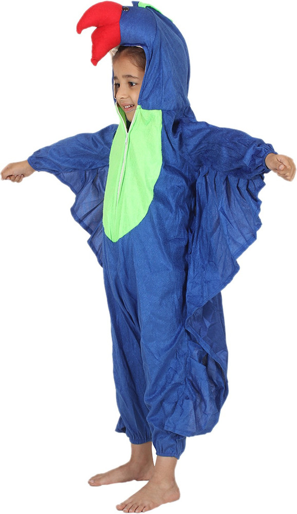 Flipkart fancy dress costumes store