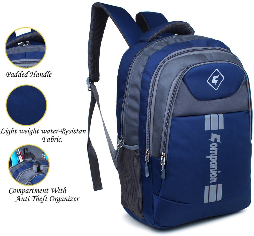 Companion Dragon Box Unisex Backpack or School Bag or Office Bag
