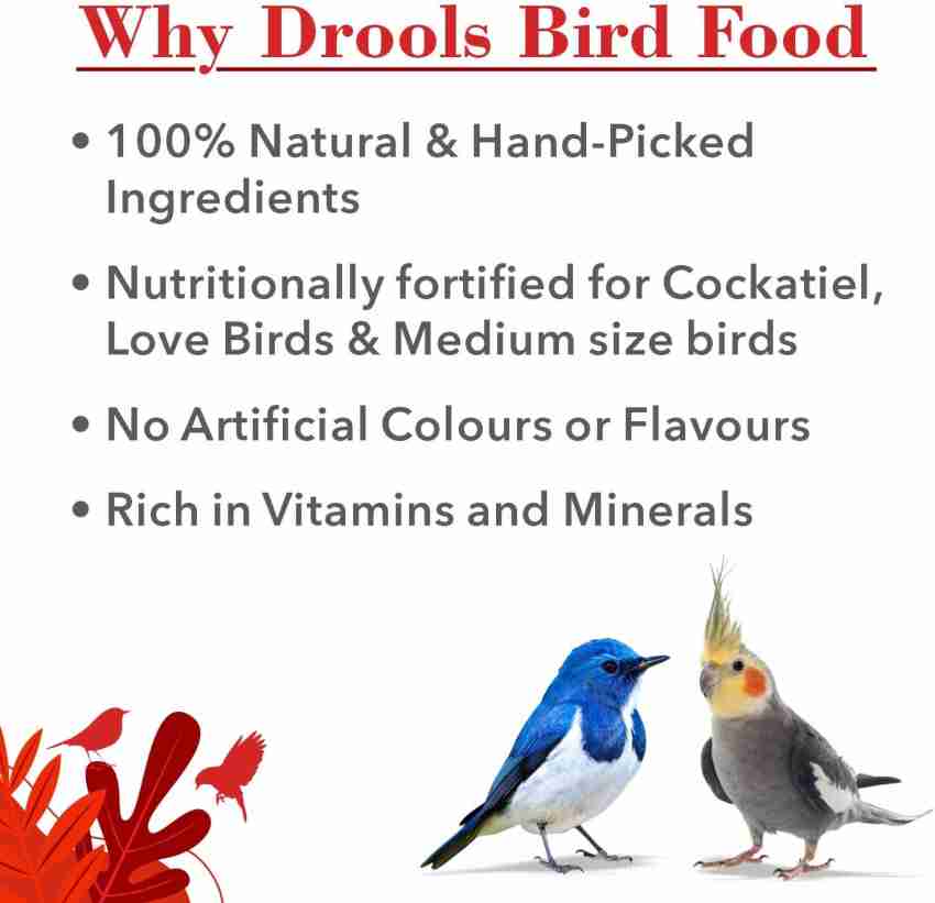 Drools Bird Food For Love Birds & Cockatiel Food 500 gm at best price