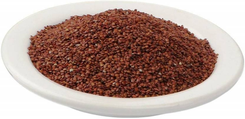 TAMRANSH Lajwanti Seeds 200 Grm Lajjalu Chu mui Sensitive Plant