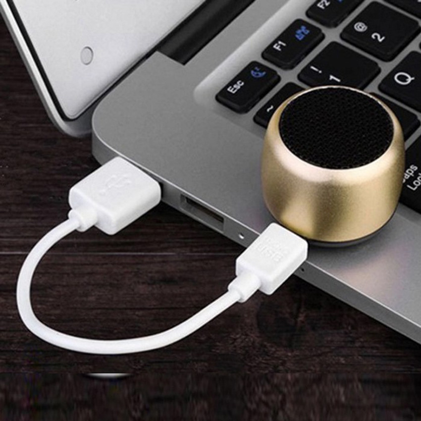 Mini speaker with headphone jack sales