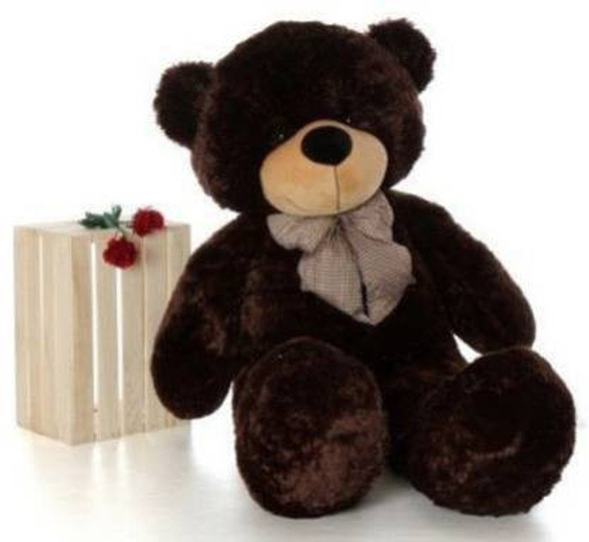 Teddy bear cheap in black colour