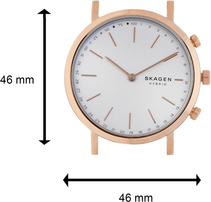 Skagen skt1204 discount