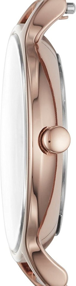 SKAGEN Anita ROSEGold Tone Steel Mesh Watch Analog Watch For