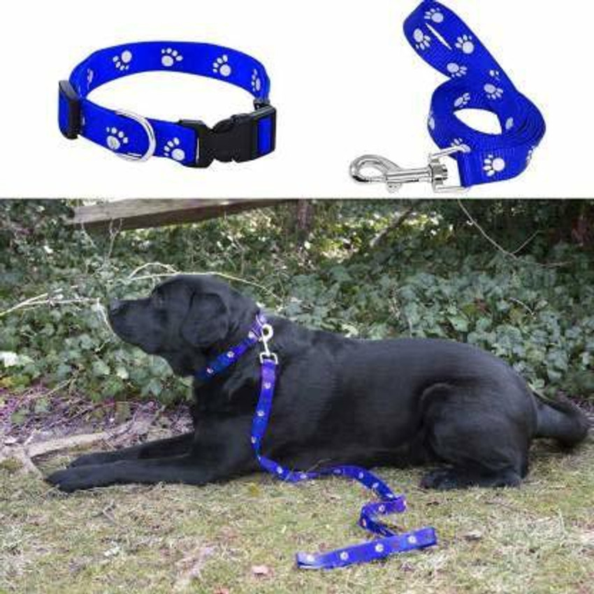 buddy pets Dog Collar Leash Price in India Buy buddy pets Dog