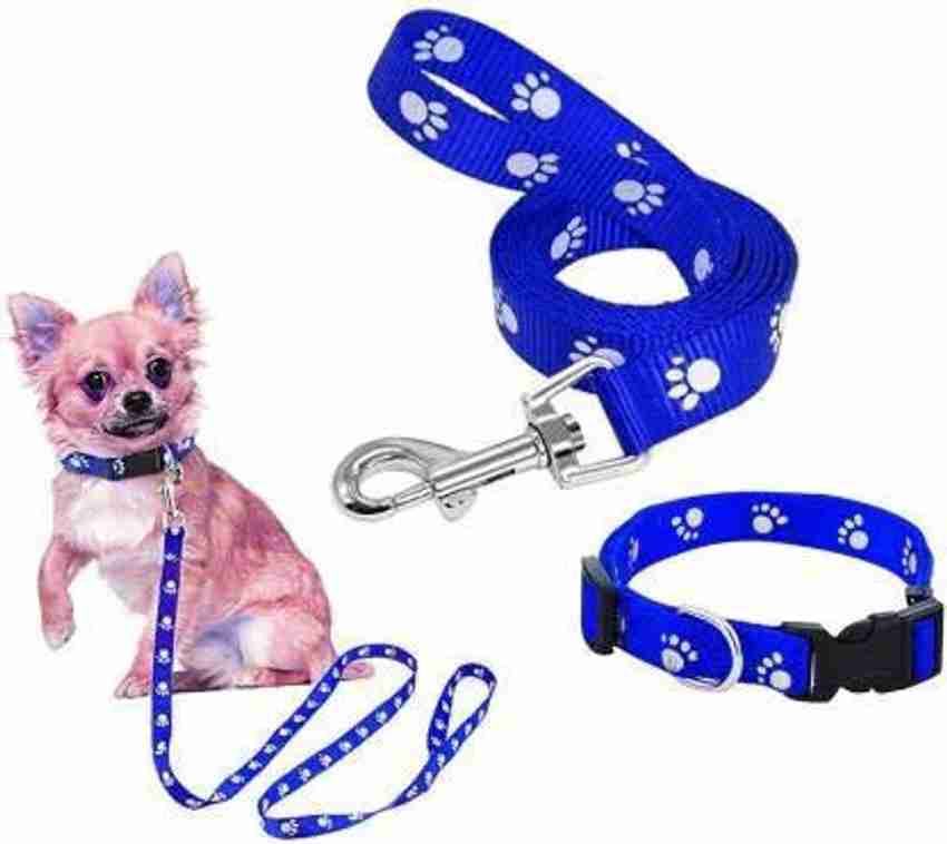 Buddy pet collar clearance