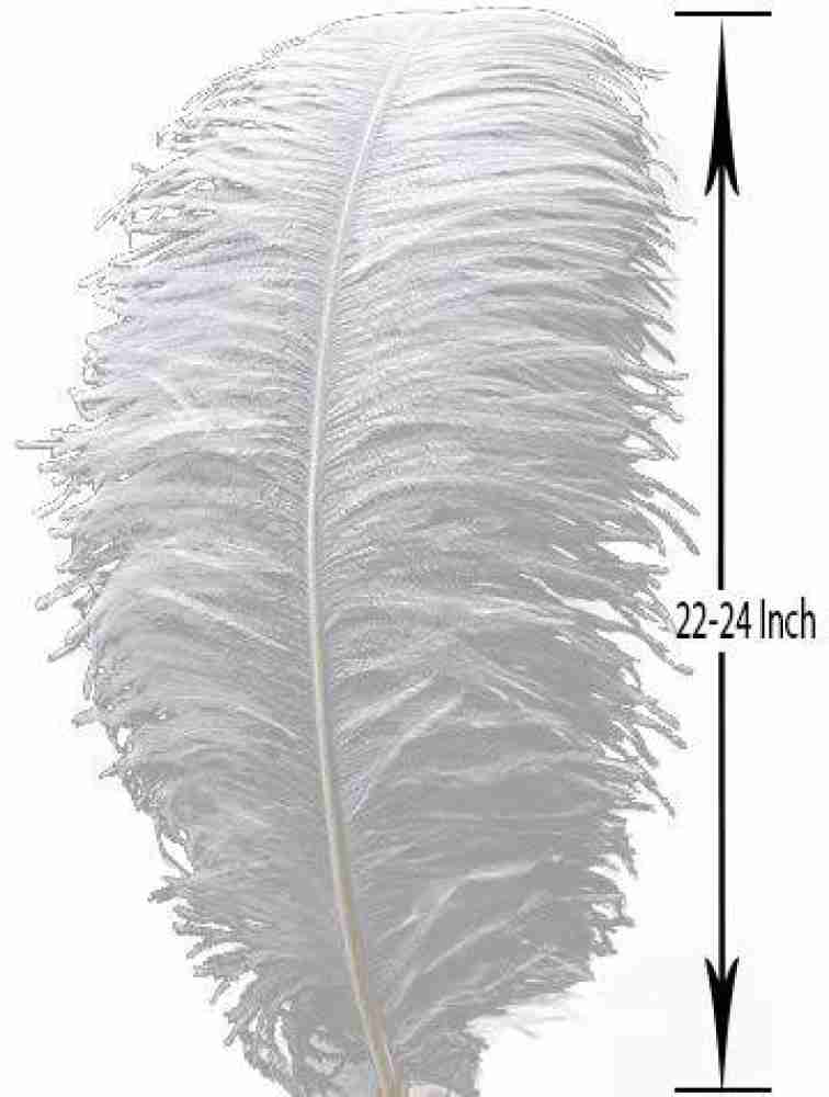 White Ostrich Feathers, Craft Supplies, Feathers And Shells, Bulk Craft  Accessories, 24 Pieces, White