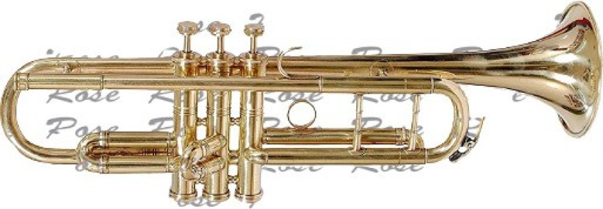 Rose Musicals Ultra Shining Golden Trumpet with Bag & Mouthpiece Bb Trumpet  Price in India - Buy Rose Musicals Ultra Shining Golden Trumpet with Bag &  Mouthpiece Bb Trumpet online at