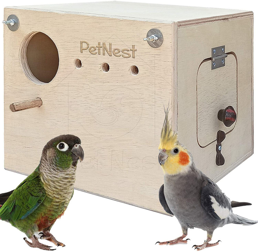 Cockatiel house 2025
