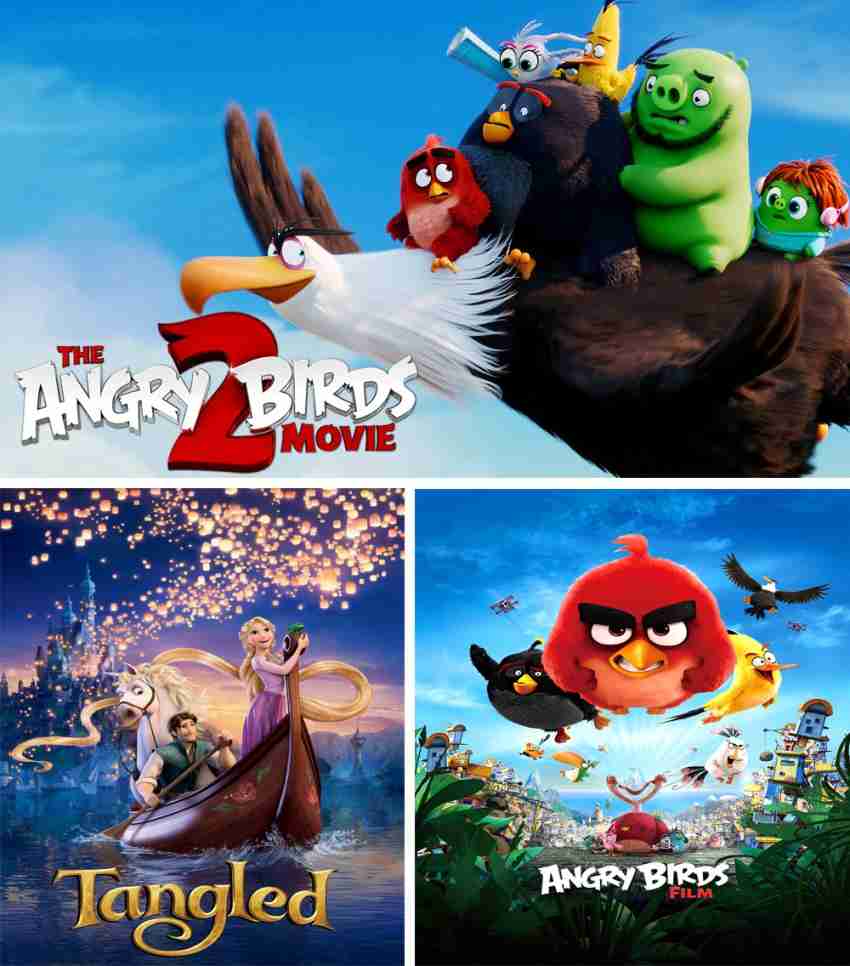 The Angry Birds Movie 2 (DVD Sony Pictures) 