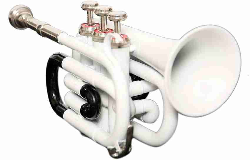 Sai Musical Store Bb TRUMPET Low Pitch Brass Musical Instrument