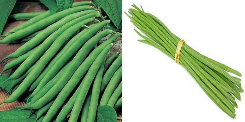 Beans stick deals