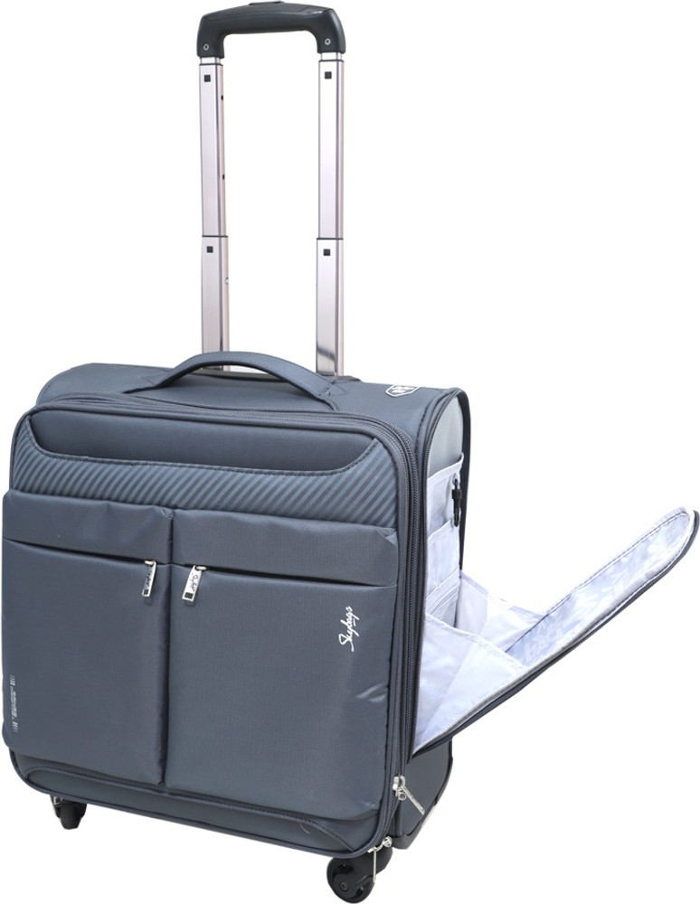 Discover more than 166 skybags travel bags flipkart esthdonghoadian