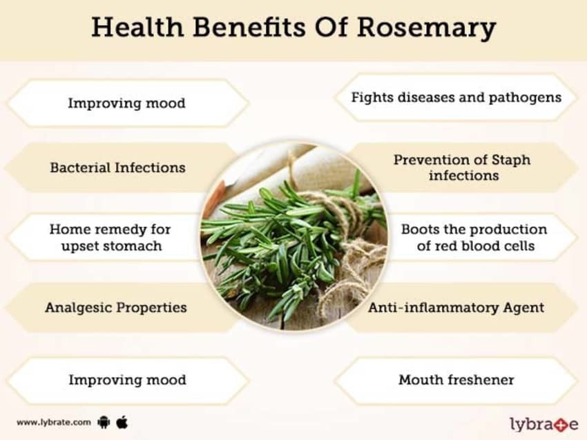 RiTrue  Rosemary Dried Leaves  90 Gm  For Hair Growth  Rosemary Herb  Tea  Organic  Natural  Amazonin Grocery  Gourmet Foods