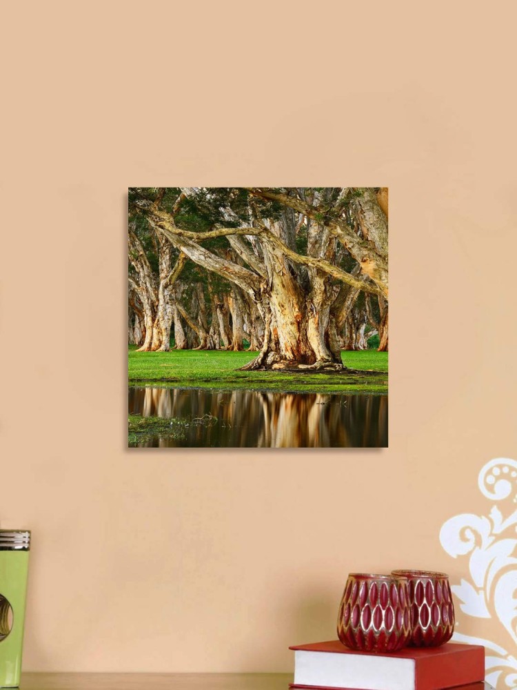 Framed Canvas Wall Art Decoration old trees swamp Digital Print