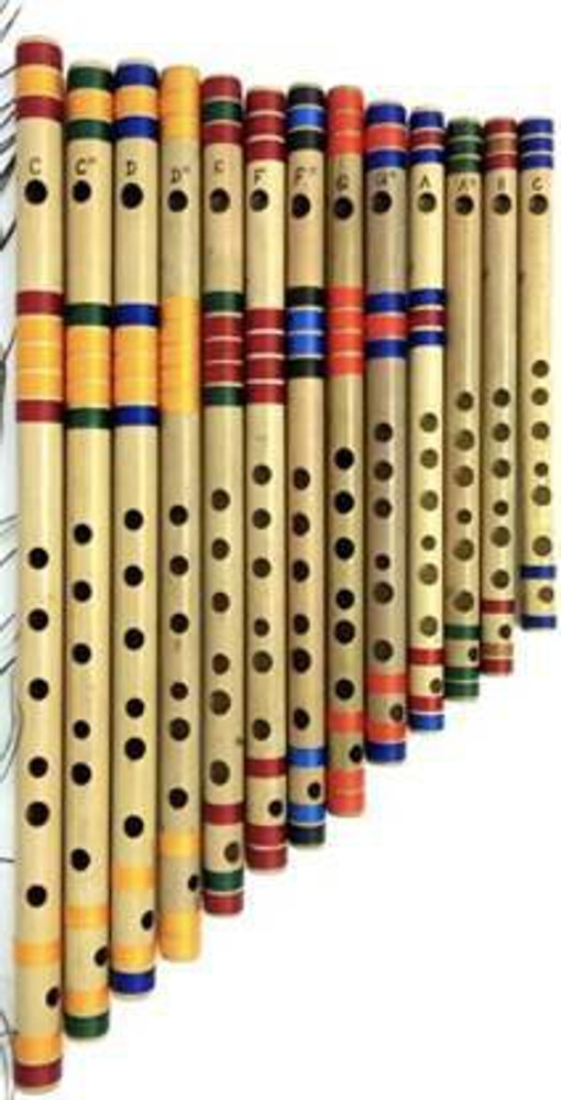 Different types shop of bansuri