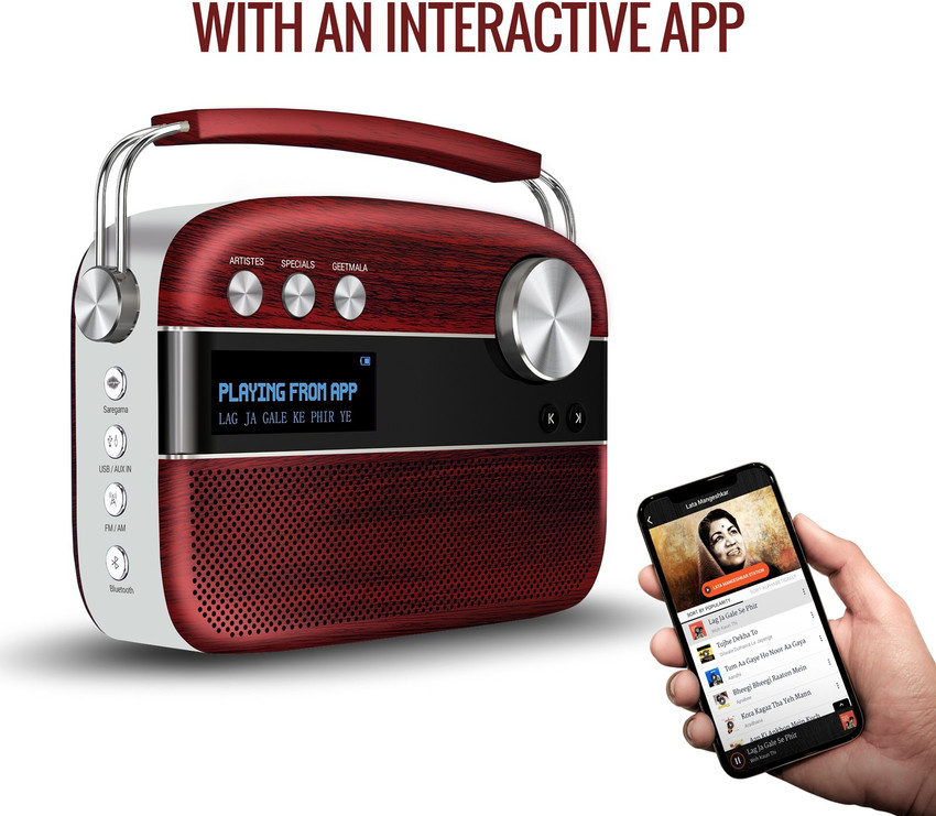 Saregama carvaan on flipkart on sale