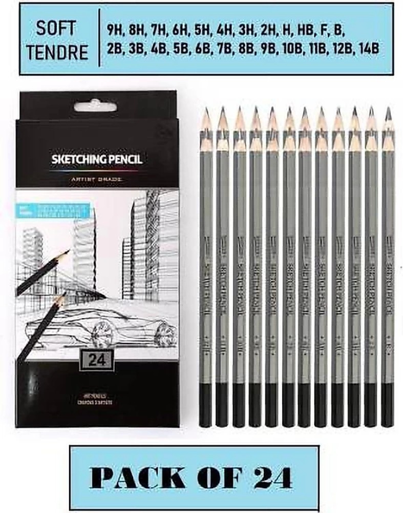 Professional Drawing Sketching Art Pencils Set - 12 Graphite Drawing Pencils for Sketch Art and Shading 8B, 6B, 4B, 3B, 2B, B, HB, F, H, 2H, 4H, 6H