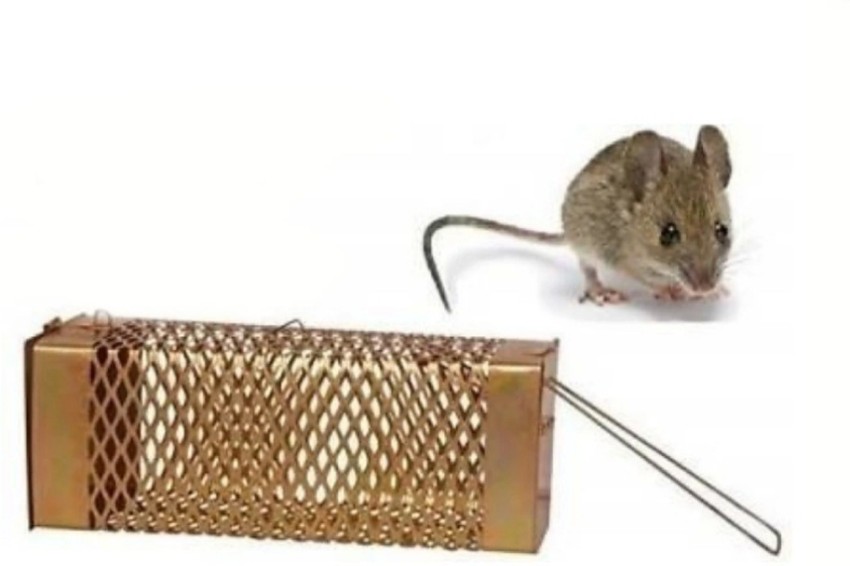 Iron Rat Trap Cage (Jaali Pinjra) Medium Size Golden