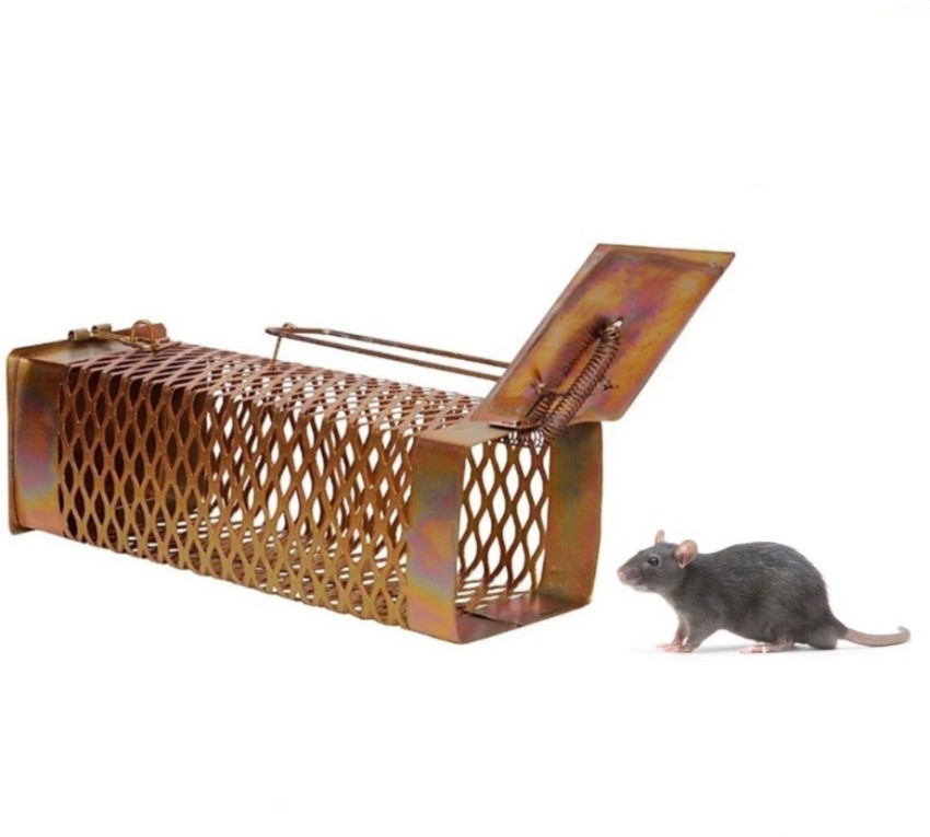 Rat, Mouse, Rodent Trap, Catcher Cage, Rustic Non-Toxic Iron Gold Color Net