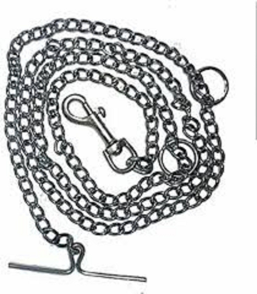 Dog chain flipkart store