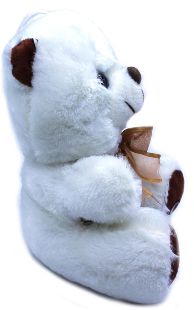 Small white stuffed shop bear