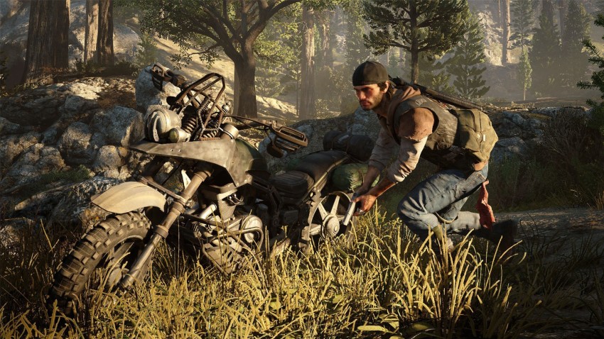 Days gone best sale cheapest price