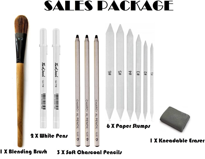 BIANYO CHARCOAL PENCIL SET : 12 PIECES FROM BLACK TO BROWN GRADIENT –  Magnifico Beaux Arts