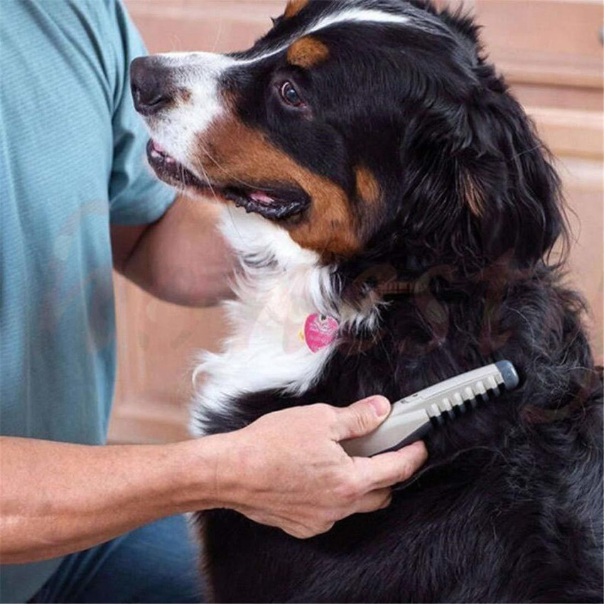 StayWay Pet Cat Grooming Comb Orange Knot Out Hair Trimmer for