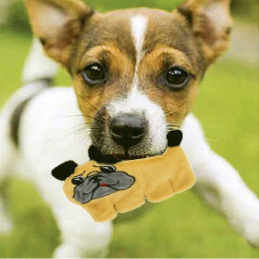 Buy Dog Toys Online at Best Price in India - Goofy Tails – GoofyTails