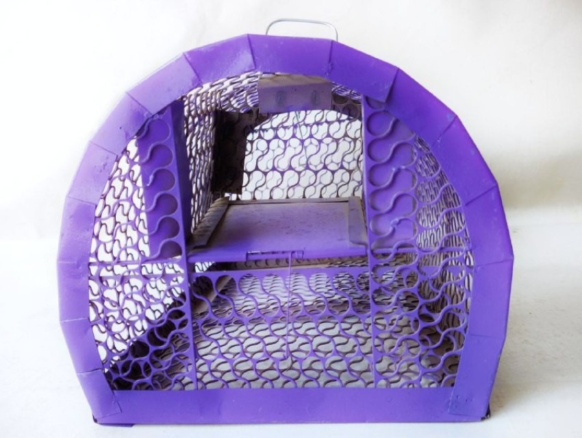 REGAL Rat trap cage Live Trap Price in India - Buy REGAL Rat trap cage Live  Trap online at