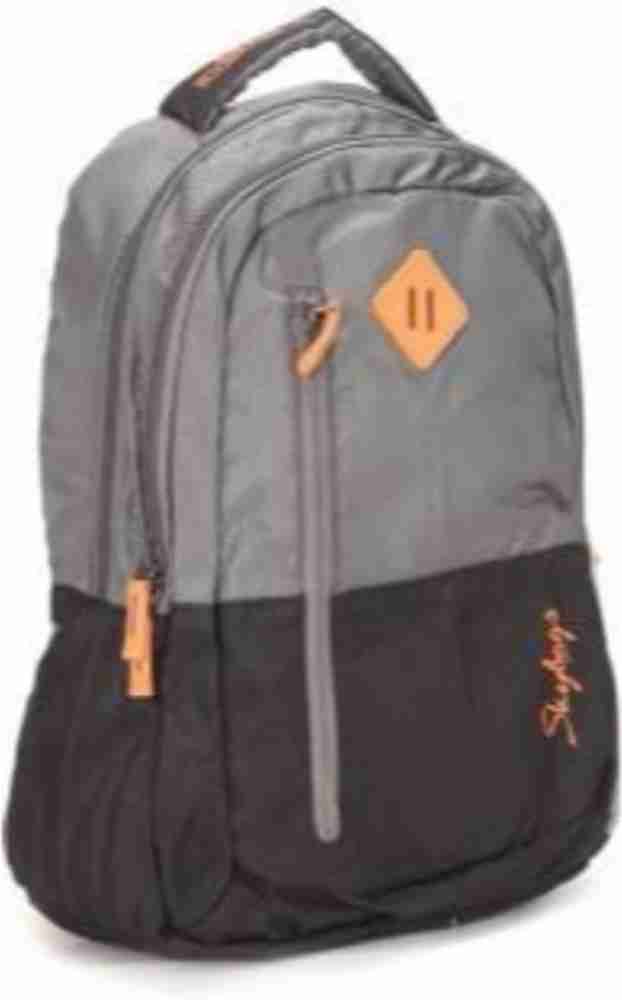 Skybags footloose leo 03 grey & black color hotsell block backpack