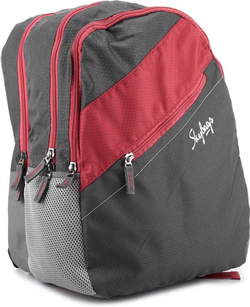 Flipkart 2024 sale skybags