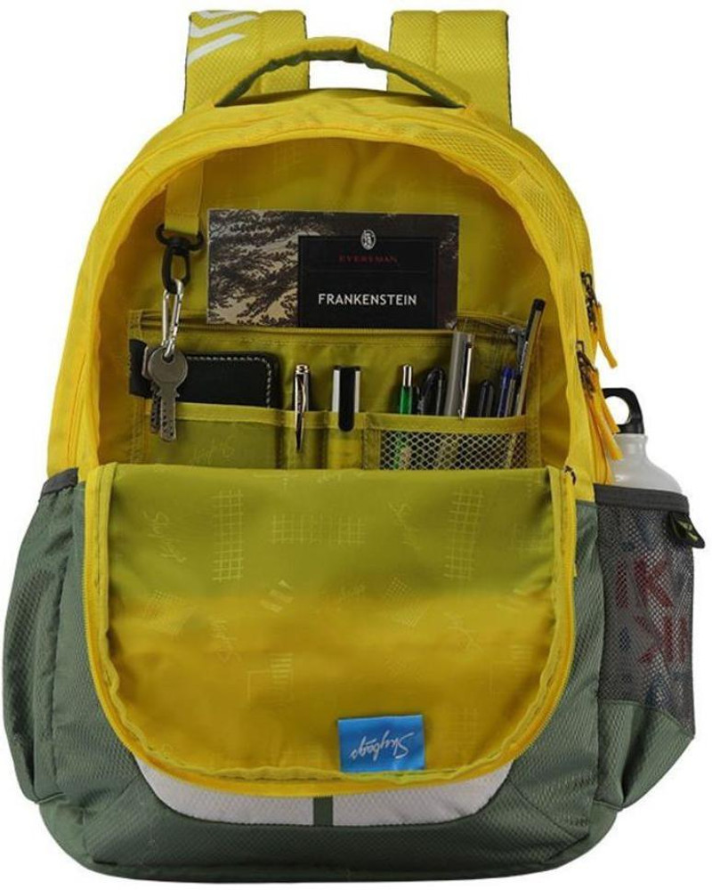 SKYBAGS Bingo plus 04 Green 36 L Laptop Backpack Green Price in