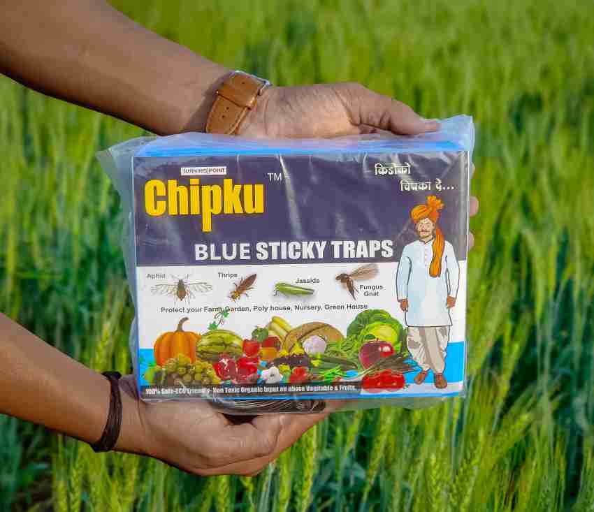 Chipku Blue Sticky Trap for Smaller Insects in Garden & Farm Fly