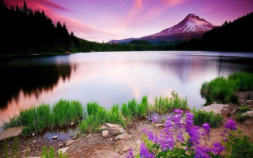beautiful nature wallpapers for facebook cover page