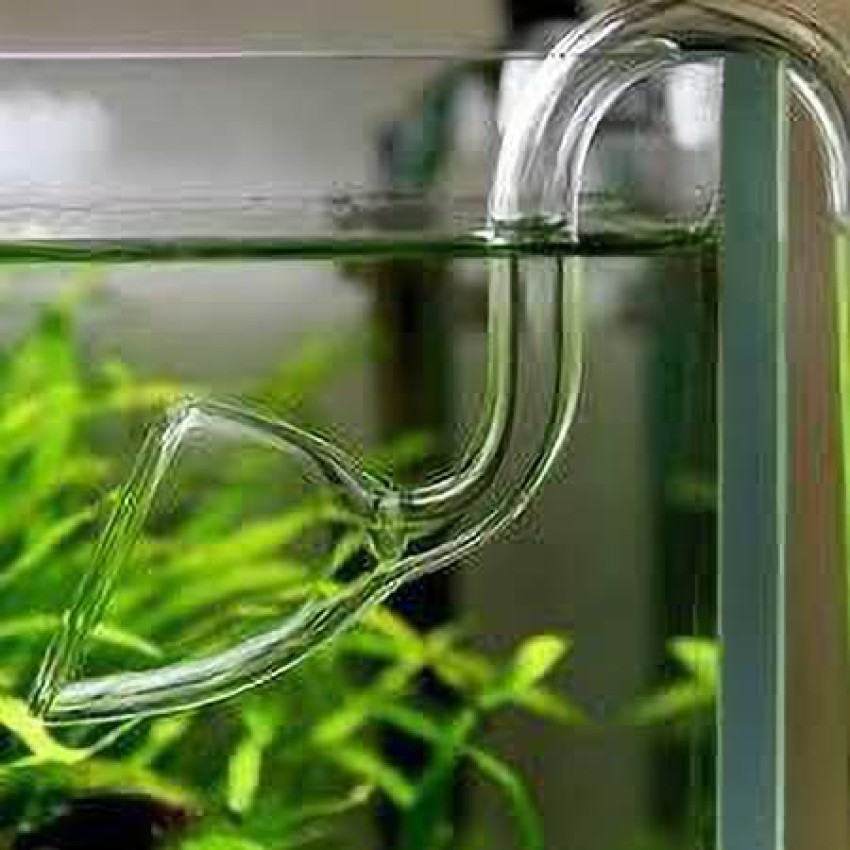 Plant Aquarium Glass Lily Pipe Inflow and Lily Pipe Outflow for