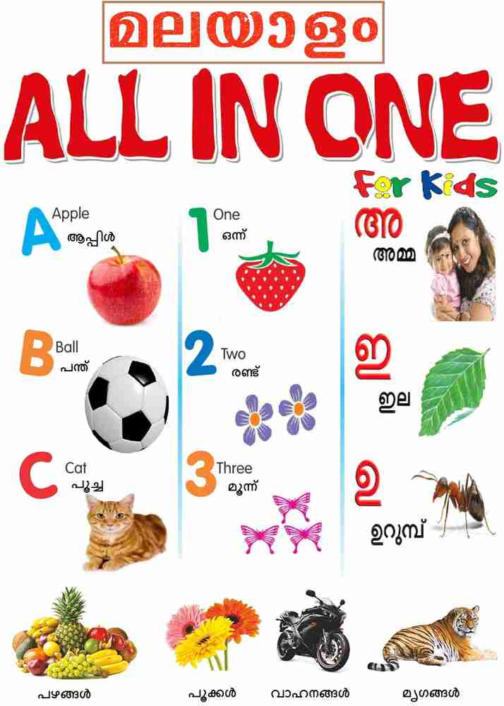 Malayalam All In One Book For Kids Early Learning On Tamil Alphabets Numbers Fruits Actions Colors Parts Of Body Our Helpers Shapes