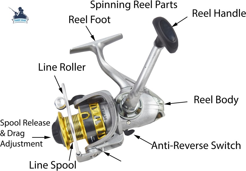 fisheryhouse AIDE Reel A-3000 Price in India - Buy fisheryhouse AIDE Reel  A-3000 online at