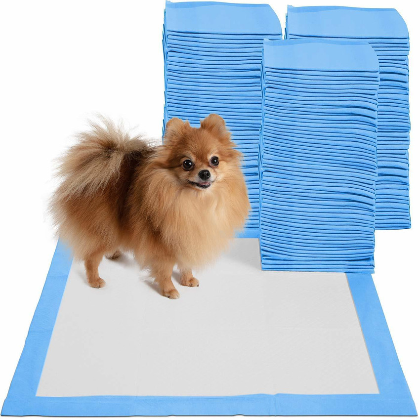 House of klein dog training sale