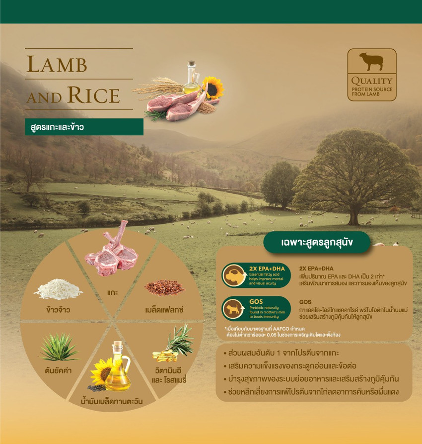 Smart heart store lamb and rice